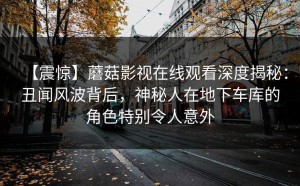 【震惊】蘑菇影视在线观看深度揭秘：丑闻风波背后，神秘人在地下车库的角色特别令人意外