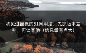 我见过最稳的51网用法：先抓版本差别，再谈其他（信息量有点大）