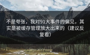 不是夸张，我对91大事件的偏见，其实是被缓存管理放大出来的（建议反复看）
