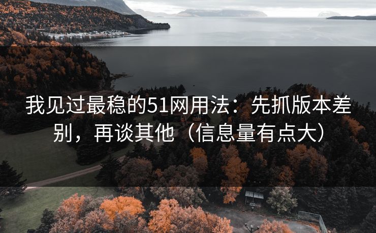 我见过最稳的51网用法：先抓版本差别，再谈其他（信息量有点大）