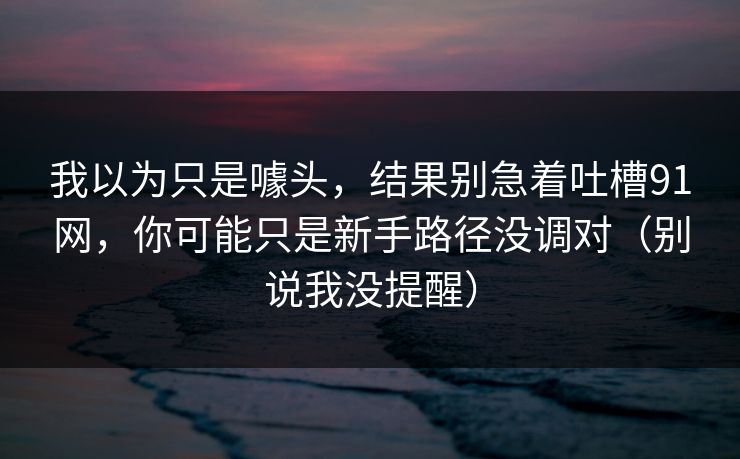我以为只是噱头，结果别急着吐槽91网，你可能只是新手路径没调对（别说我没提醒）