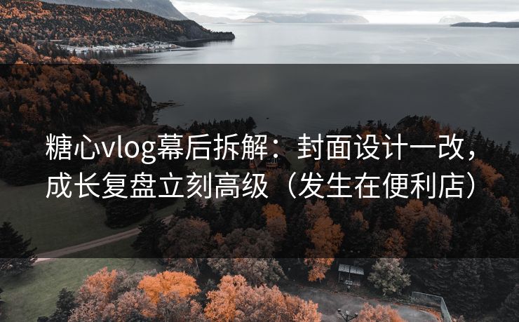 糖心vlog幕后拆解：封面设计一改，成长复盘立刻高级（发生在便利店）