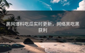 黑网爆料吃瓜实时更新，网络黑吃黑获利