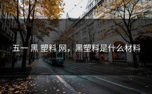 五一 黑 塑料 网，黑塑料是什么材料