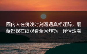 圈内人在傍晚时刻遭遇真相迷醉，蘑菇影视在线观看全网炸锅，详情速看