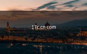 17c.cn com